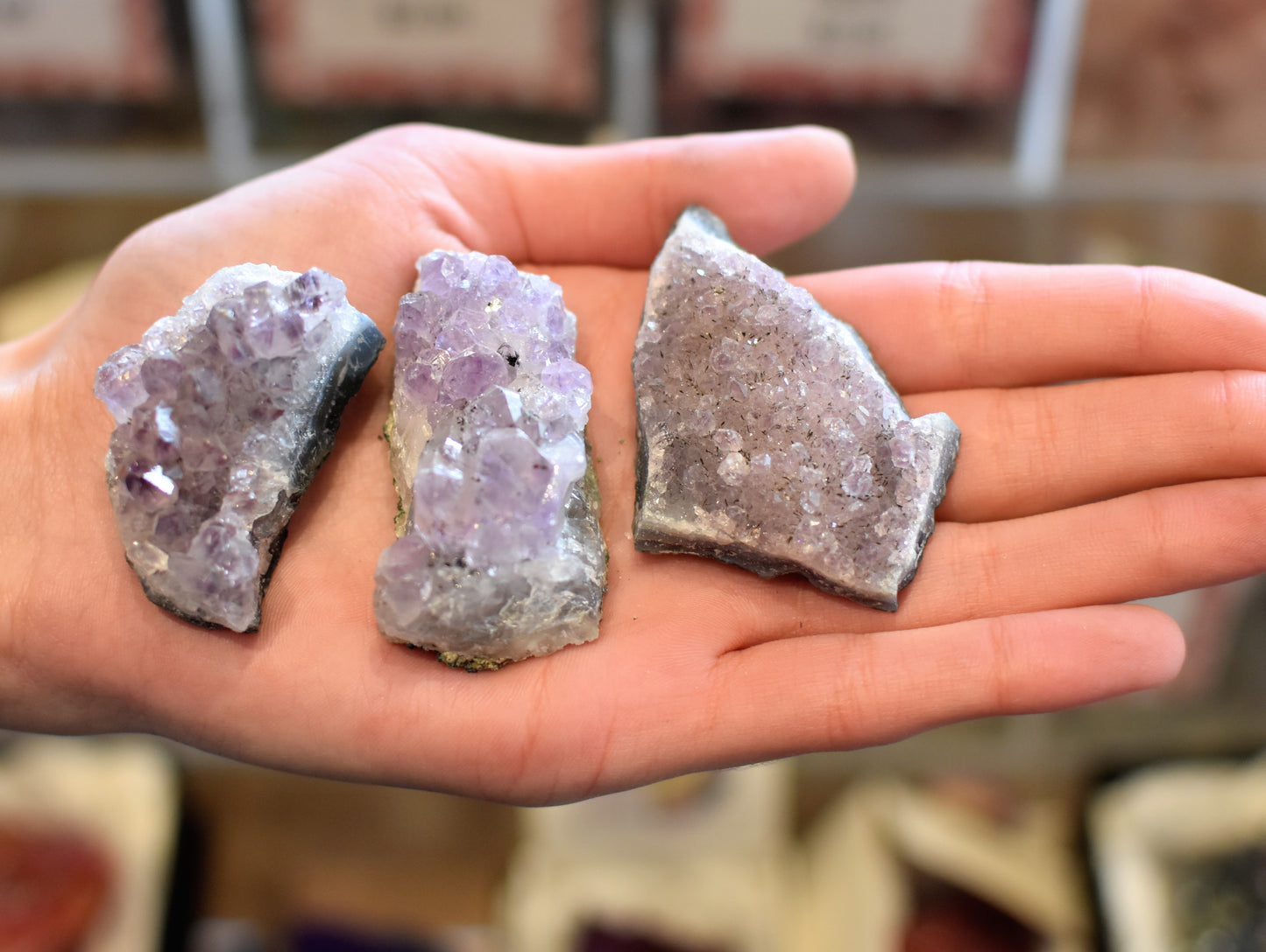 British Fossils Amethyst Cluster Large