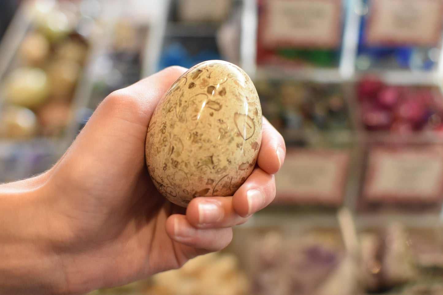 Marble Agate Egg Large 7.5cm Assorted