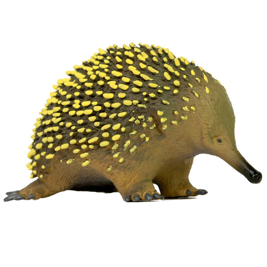 Echidna Plastic Large