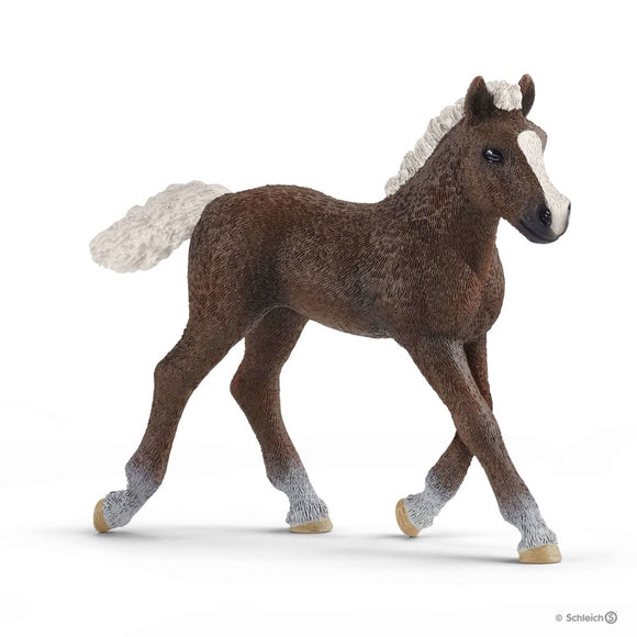 Schleich Horse Figurine Black Forest Foal