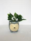 Planter Hedgehog Blue & Sand Large 14.5cm