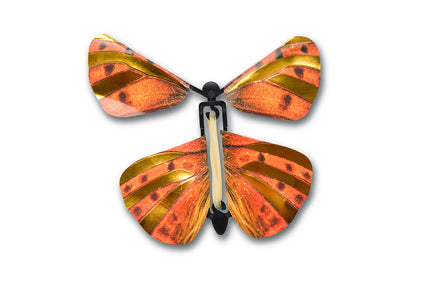 Heebie Jeebies Wind Up Australian Butterflies