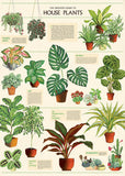 Cavallini Vintage in Tube 1000pc Jigsaw Puzzle House Plants