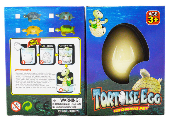Growing Pet Tortoise Egg 5.5cm