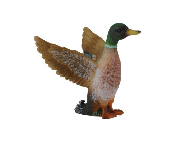 CollectA Avian Figurine Mallard Duck Male Small