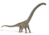 CollectA Dinosaur Figurine Mamenchisaurus