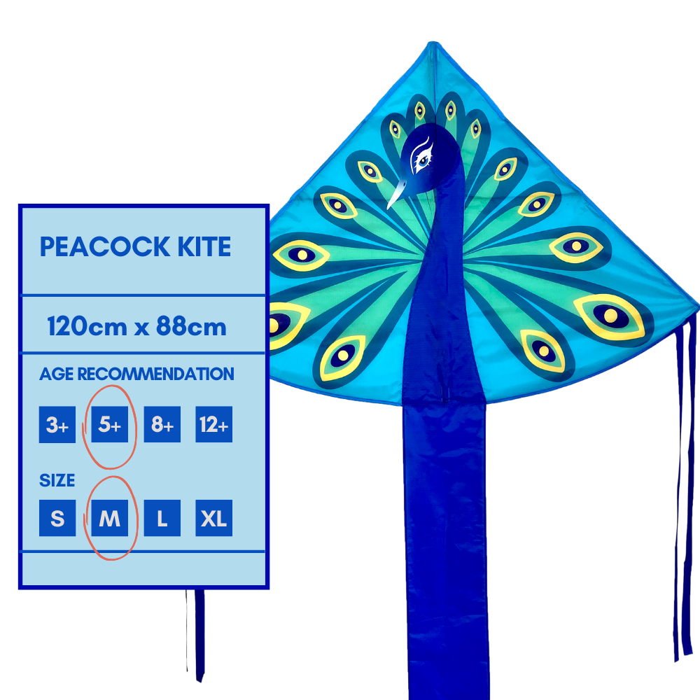 High As A Kite Single Line Kite Peacock