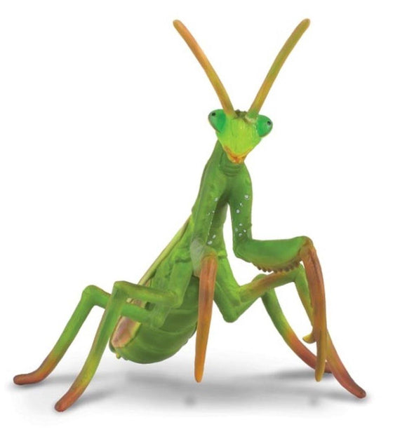 CollectA Insect Figurine Praying Mantis