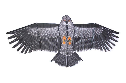 Super Eagle Kite