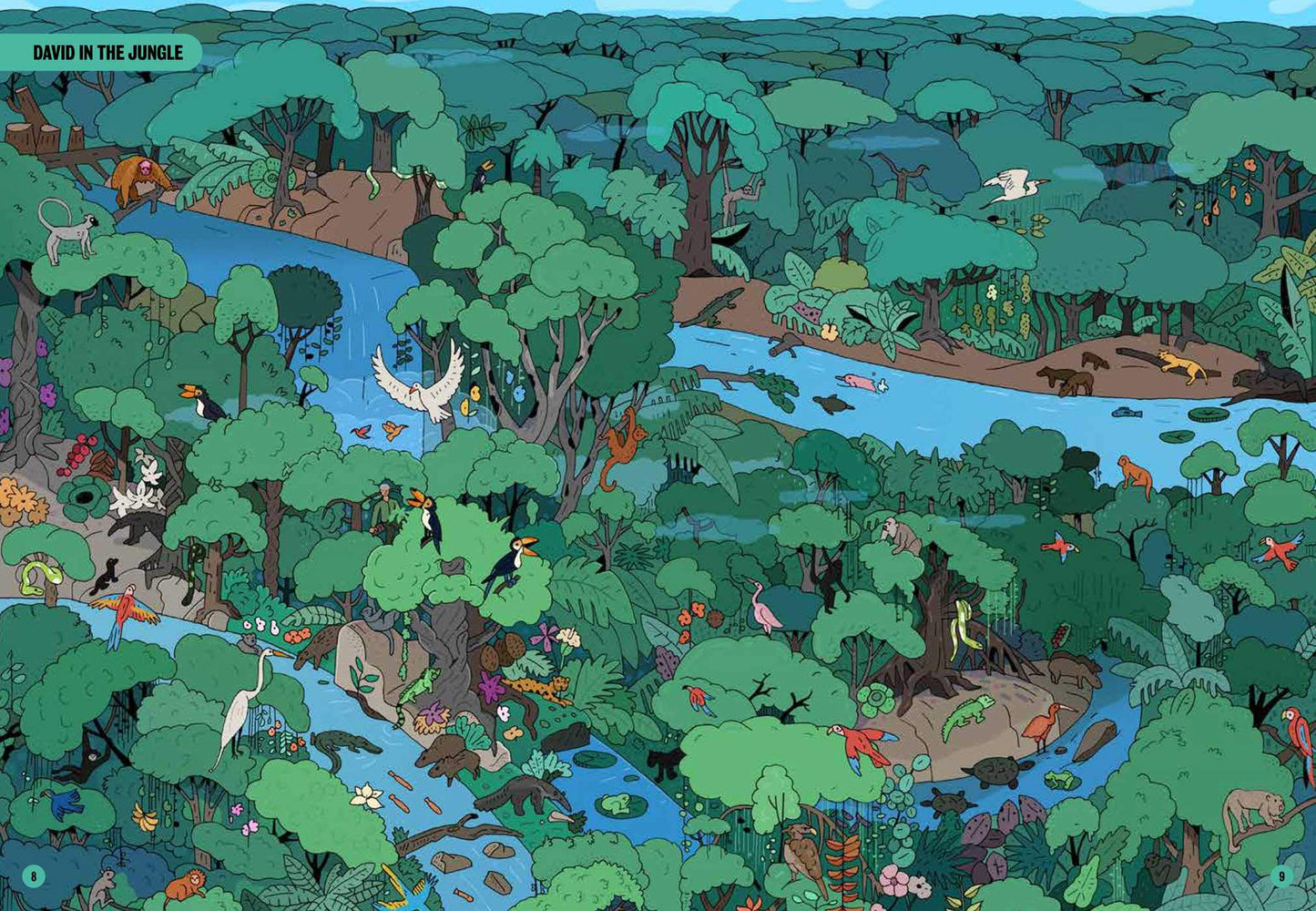 Wheres Attenborough? Search and Find Hardcover Book