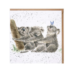 Wrendale Zoology Collection Greeting Card Three Of A Kind Koalas