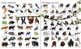 1000 Animals Usborne Hardcover Book