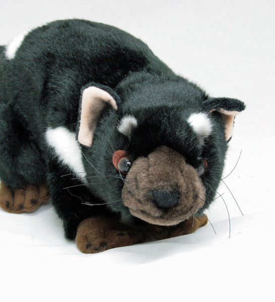 Diego 24cm Plush Tasmanian Devil