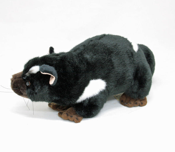 Diego 24cm Plush Tasmanian Devil