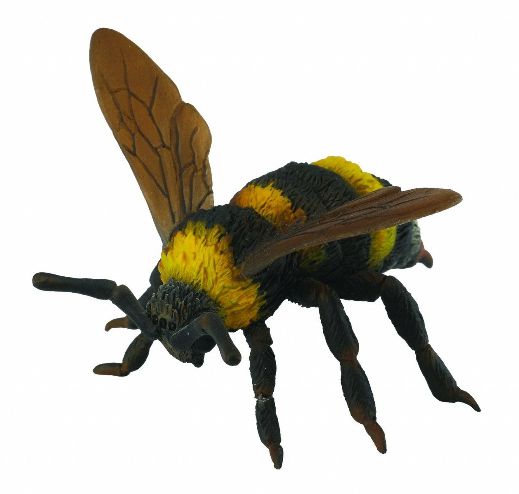 CollectA Insect Figurine Bumble Bee – Plato's Wonder. Create. Discover
