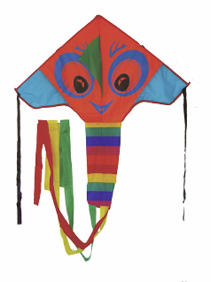 Bright Eyes Single Line Kite