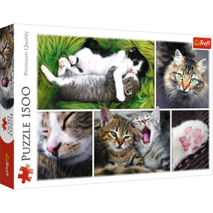 Trefl 1500pc Jigsaw Puzzle Just Cat Things! Collage