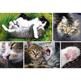 Trefl 1500pc Jigsaw Puzzle Just Cat Things! Collage