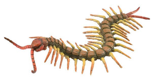 CollectA Insect Figurine Centipede