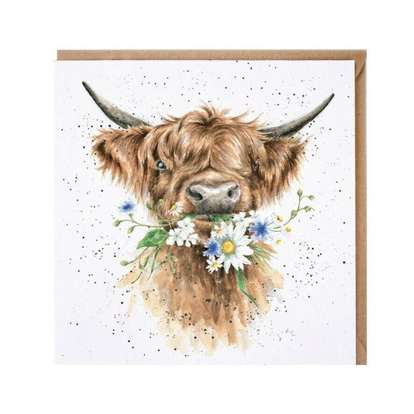 Wrendale Country Set Greeting Card Daisy Coo