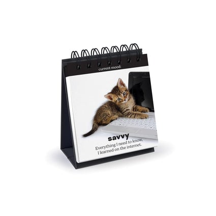 Fred Daily Cattitudes Desktop Accessory