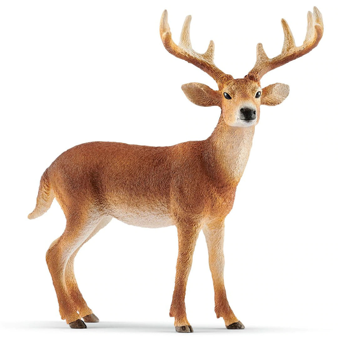 Schleich Wild Animal Figurine White Tailed Buck with Antlers