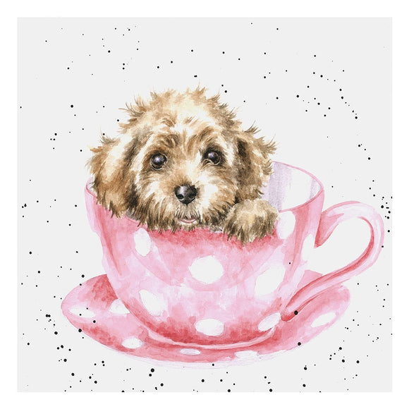Wrendale Country Set Greeting Card Teacup Pup