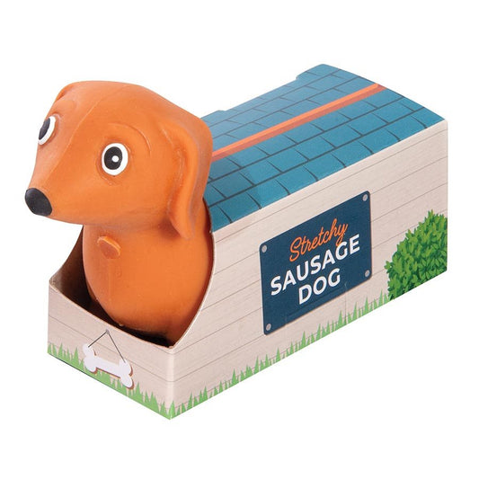 Discovery Zone Stretchy Sausage Dog Sensory Toy
