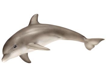 Schleich Wild Animal Figurine Dolphin
