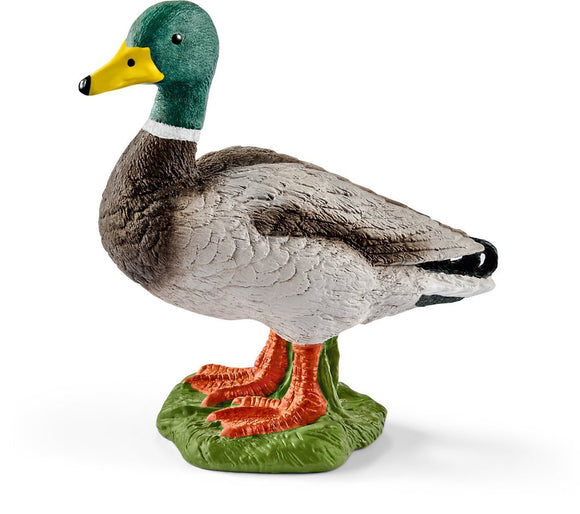 Schleich Avian Figurine Drake Duck