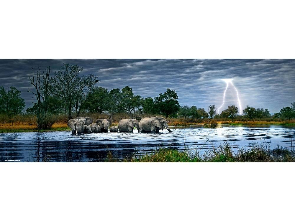 Heye Panorama 2000pc Jigsaw Puzzle Herd Elephants