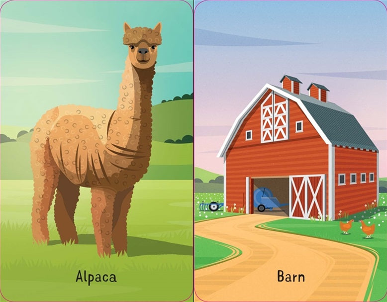 Usborne Snap Card Game Farm