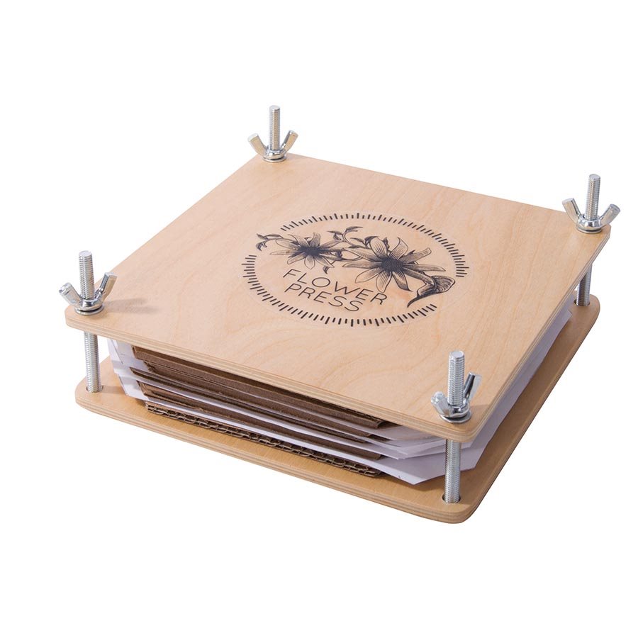 Ddiscovery Zone Wooden Flower Press in Box