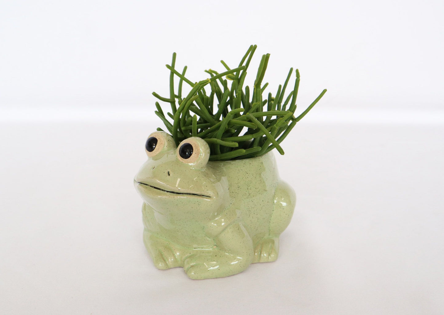 Planter Frog Light Green Small 9cm