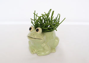 Planter Frog Light Green Small 9cm