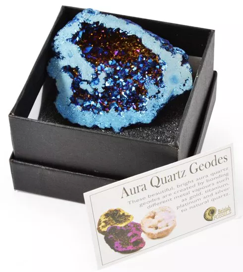 British Fossils Aura Quartz Geodes Boxed