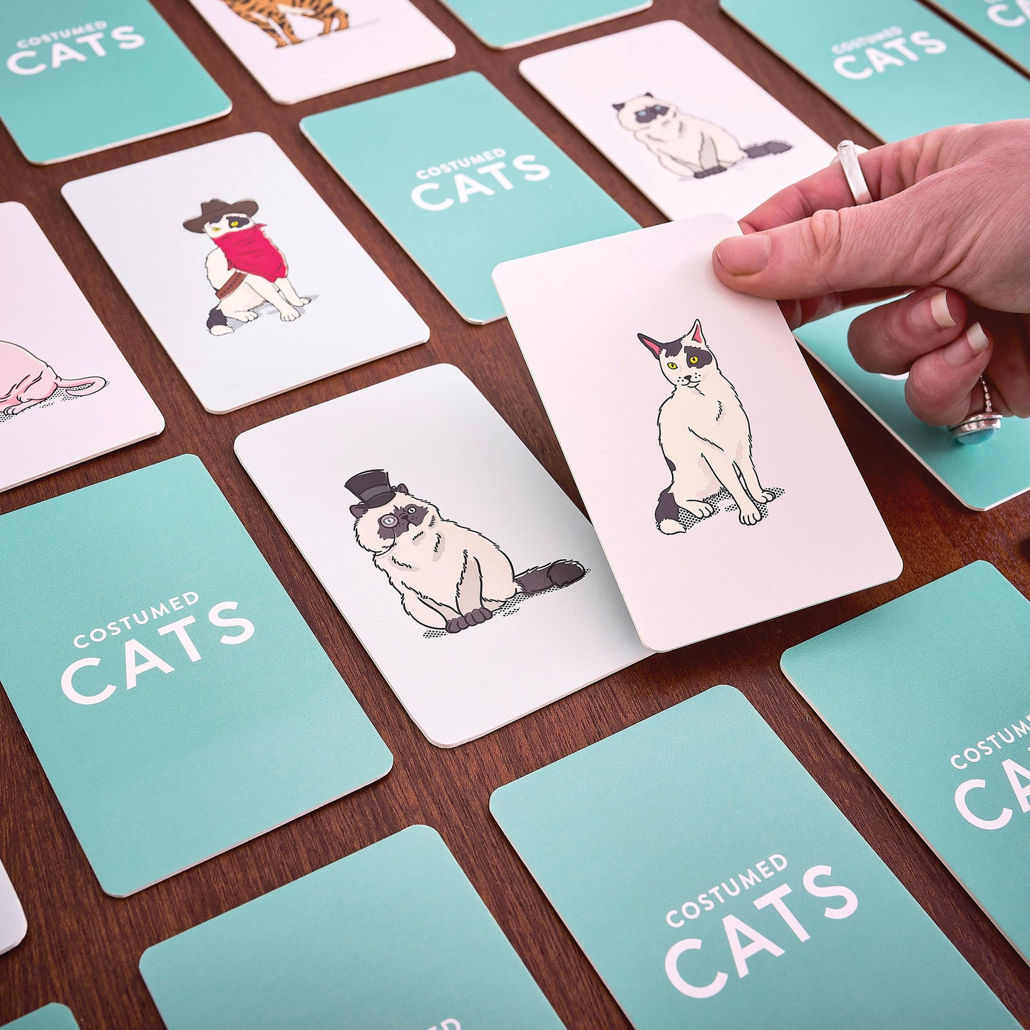 Ridleys Memory Game: Costumed Cats