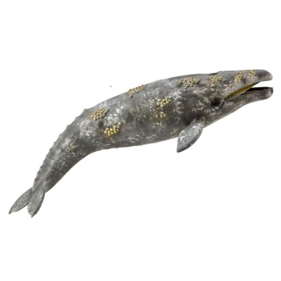 CollectA Whale Figurine Gray Whale