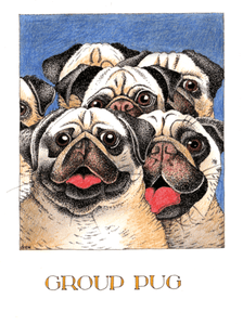 Simon Drew Greeting Card Group Pug