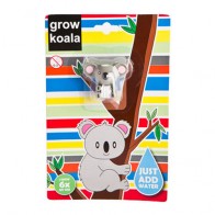 Grow Your Own Koala