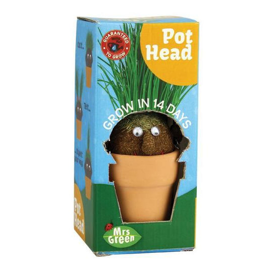 Mrs Green Grass Growing Pot Head