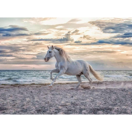 Ravensburger 500pc Jigsaw Puzzle Evening Gallop