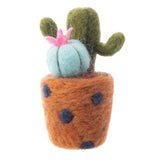 IS Gift Cactus Felting Kit