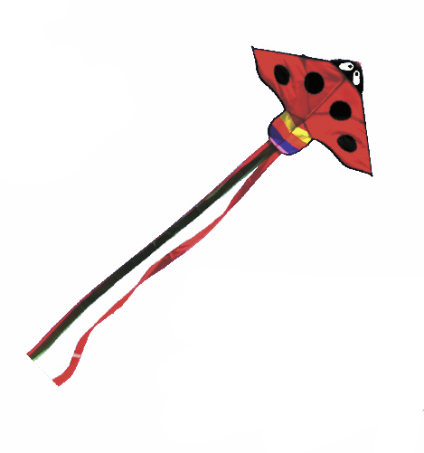 Ladybird Single Line Kite