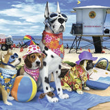 Ravensburger 100pc Jigsaw Puzzle No Dogs On Beach