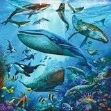 Ravensburger 3x49pc Jigsaw Puzzle Ocean Life