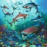 Ravensburger 3x49pc Jigsaw Puzzle Ocean Life