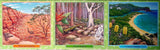 Australian Menagerie, a Challenging Game About Australias Wildlife Educational Family Strategy Card Game