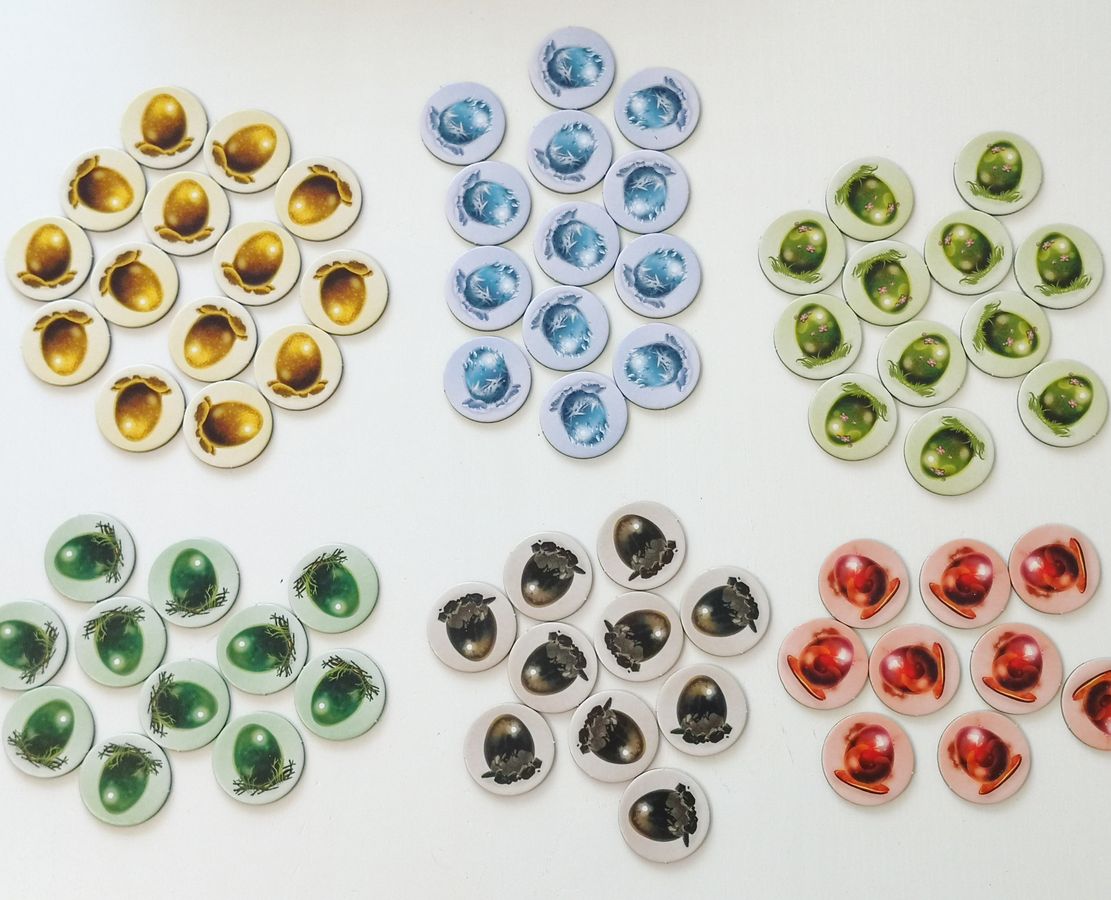 Dragomino My First Kingdomino Matching Domino Game