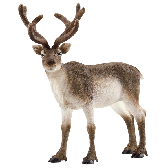 Schleich Wild Animal Figurine Reindeer